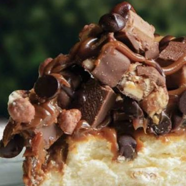 Cheesecake Tortuga