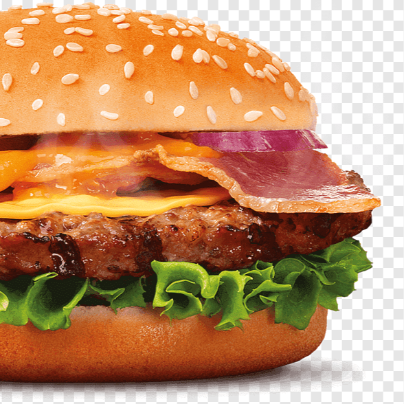 SPECIAL BURGER