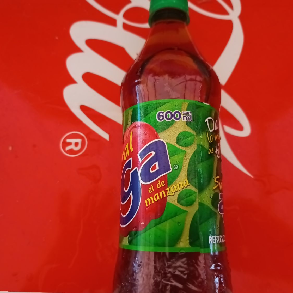 sidral 300ml