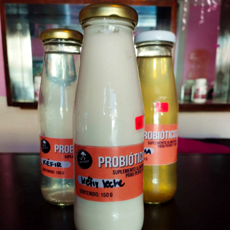 Kéfir de Leche 125 ML
