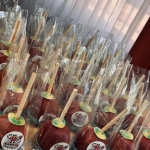 Paleta
