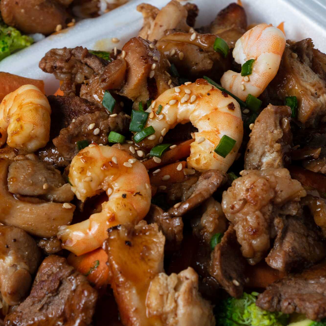 Teriyaki Mixto