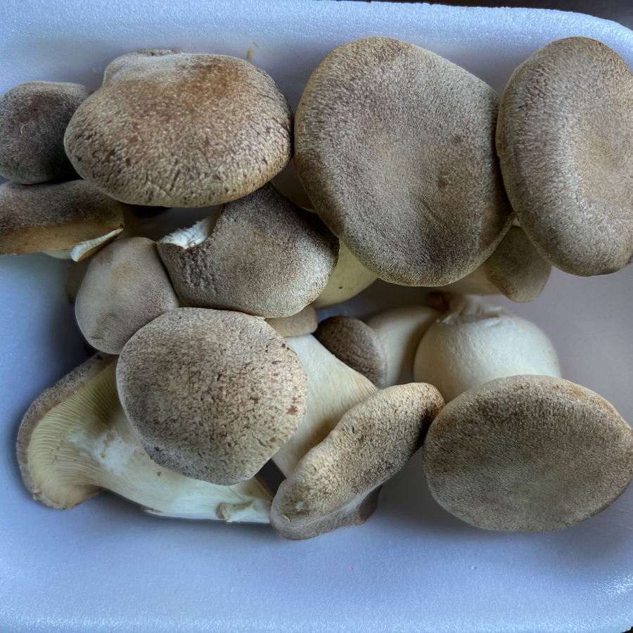 Este cogumelo é uma paixão vegana, devido a sua textura consistente e que lembra a textura de uma carne(sem ser carne)rs. Delicioso, prático e vesátil.. adere todo tipo de tempero!