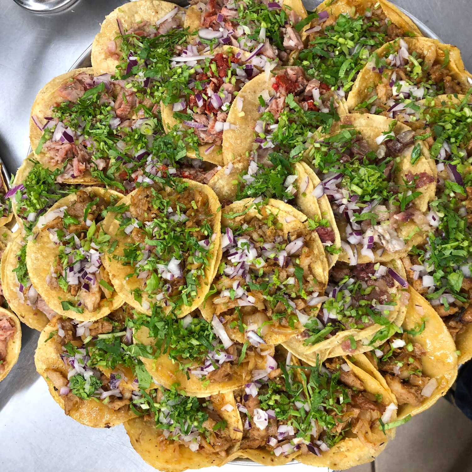 Taquiza 50 Tacos