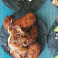 ORDEN DE 3 TACOS DE CAMARON CON KOKO