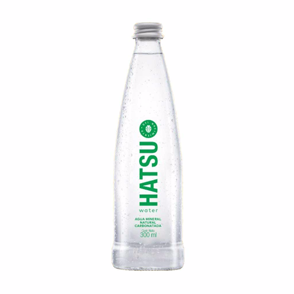 Agua Con Gas 300 ml