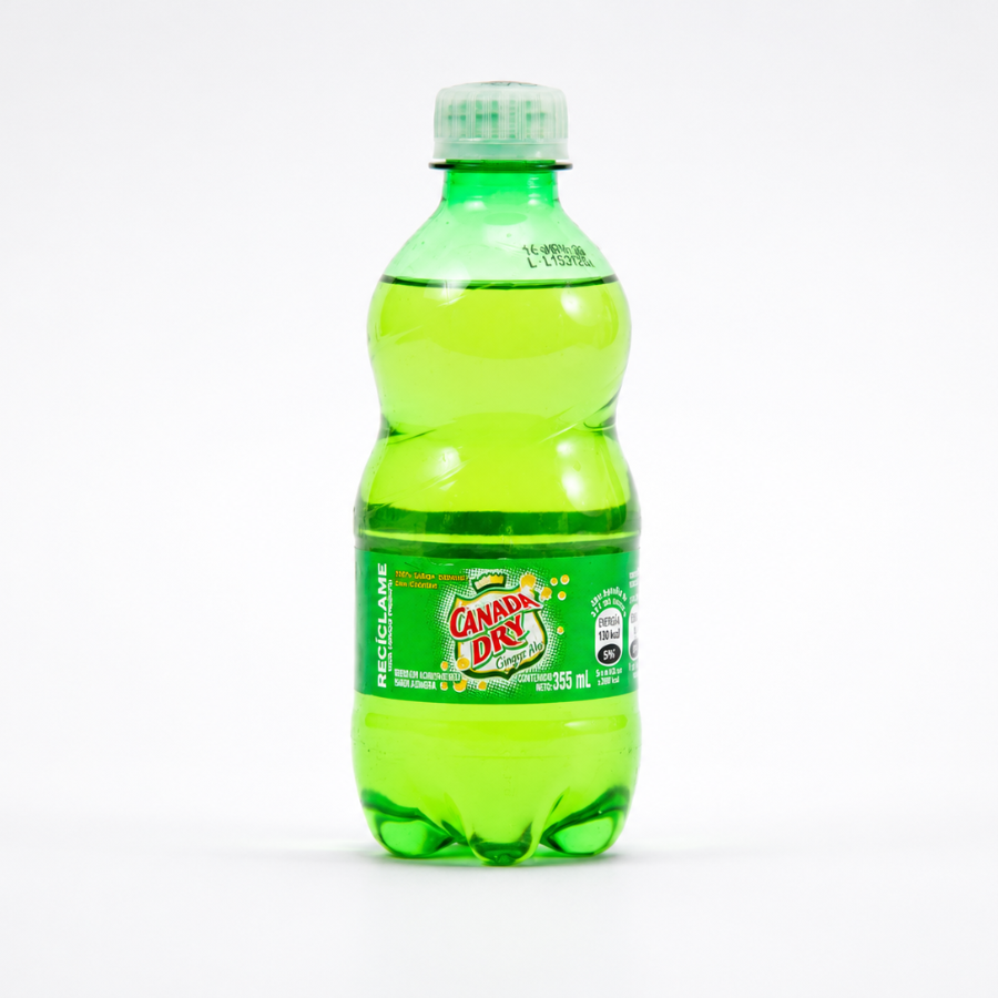 Ginger Ale 355 ml