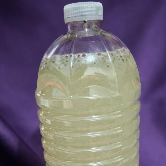 Agua de Pepino con Chía 1Lt