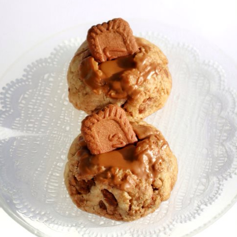 Galleta Lotus