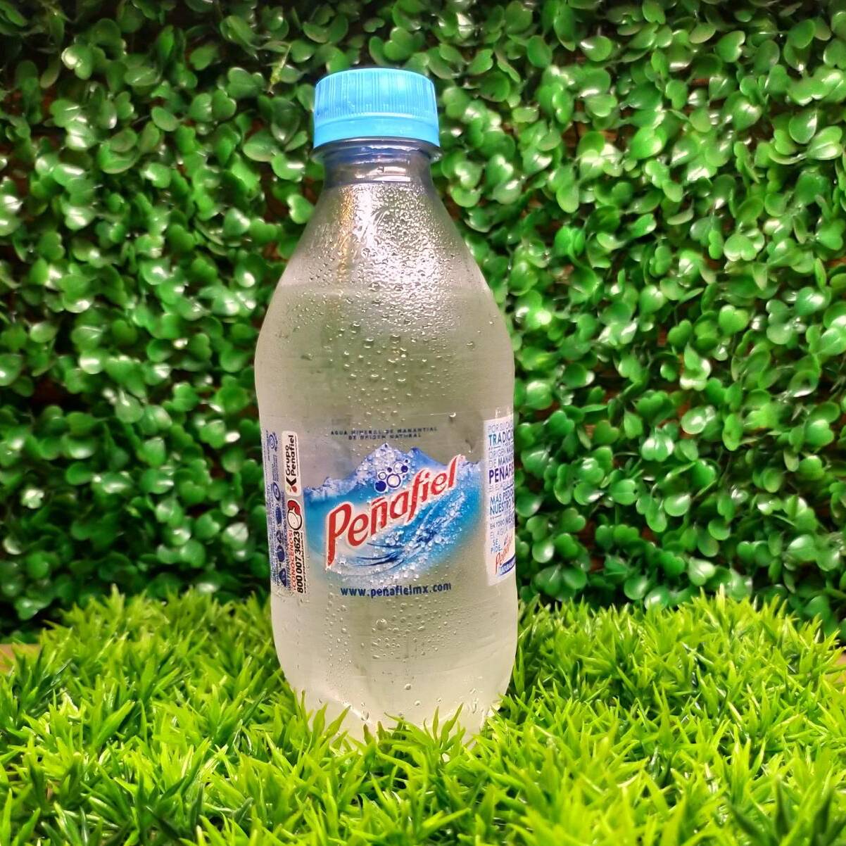 Agua Mineral 355 Ml