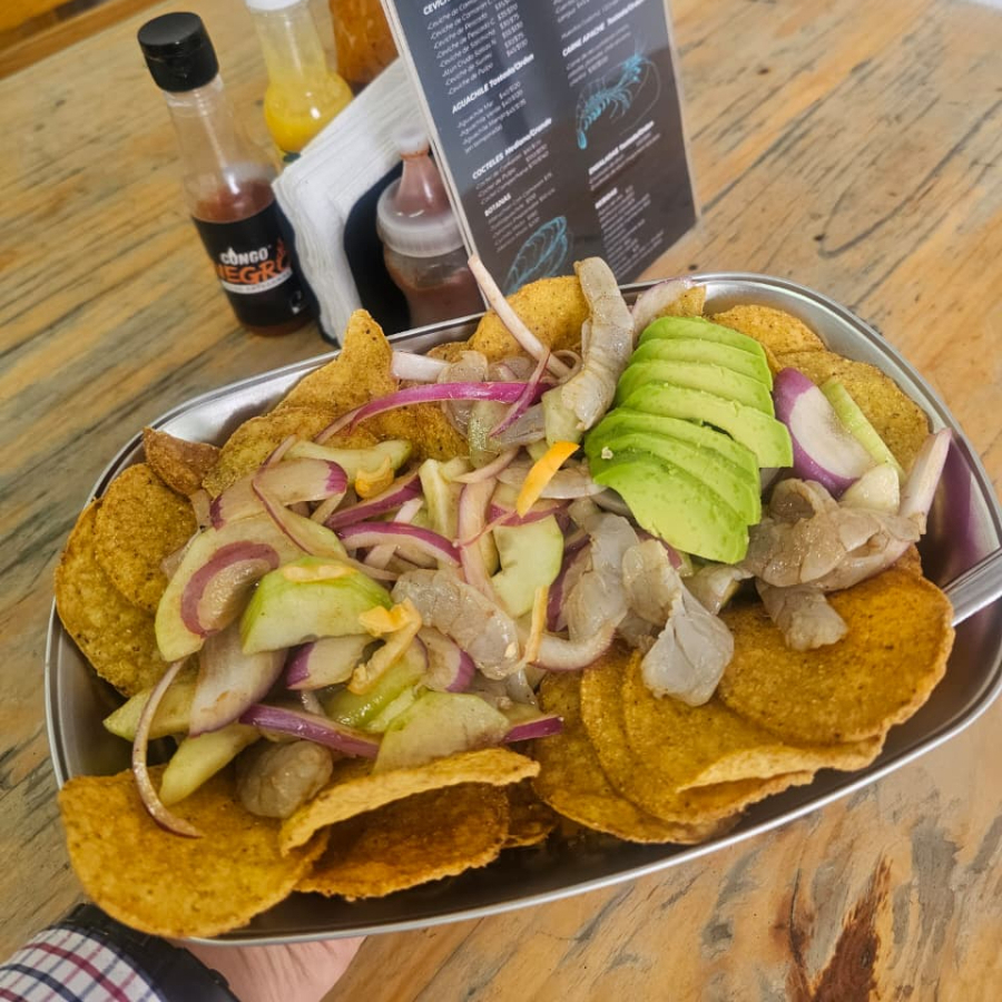 TOSTI AGUACHILE