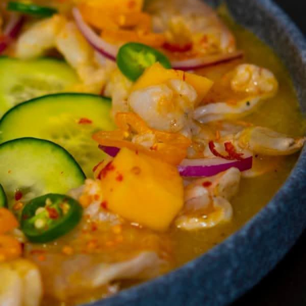 AGUACHILE CULICHI