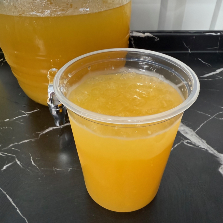 Agua Fruta Natural Temporada 1L
