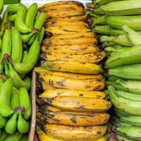 Plátano Verde O Maduro