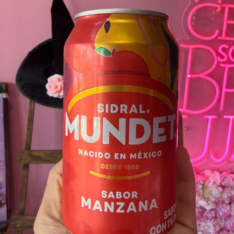 Refresco Mundet 355ml