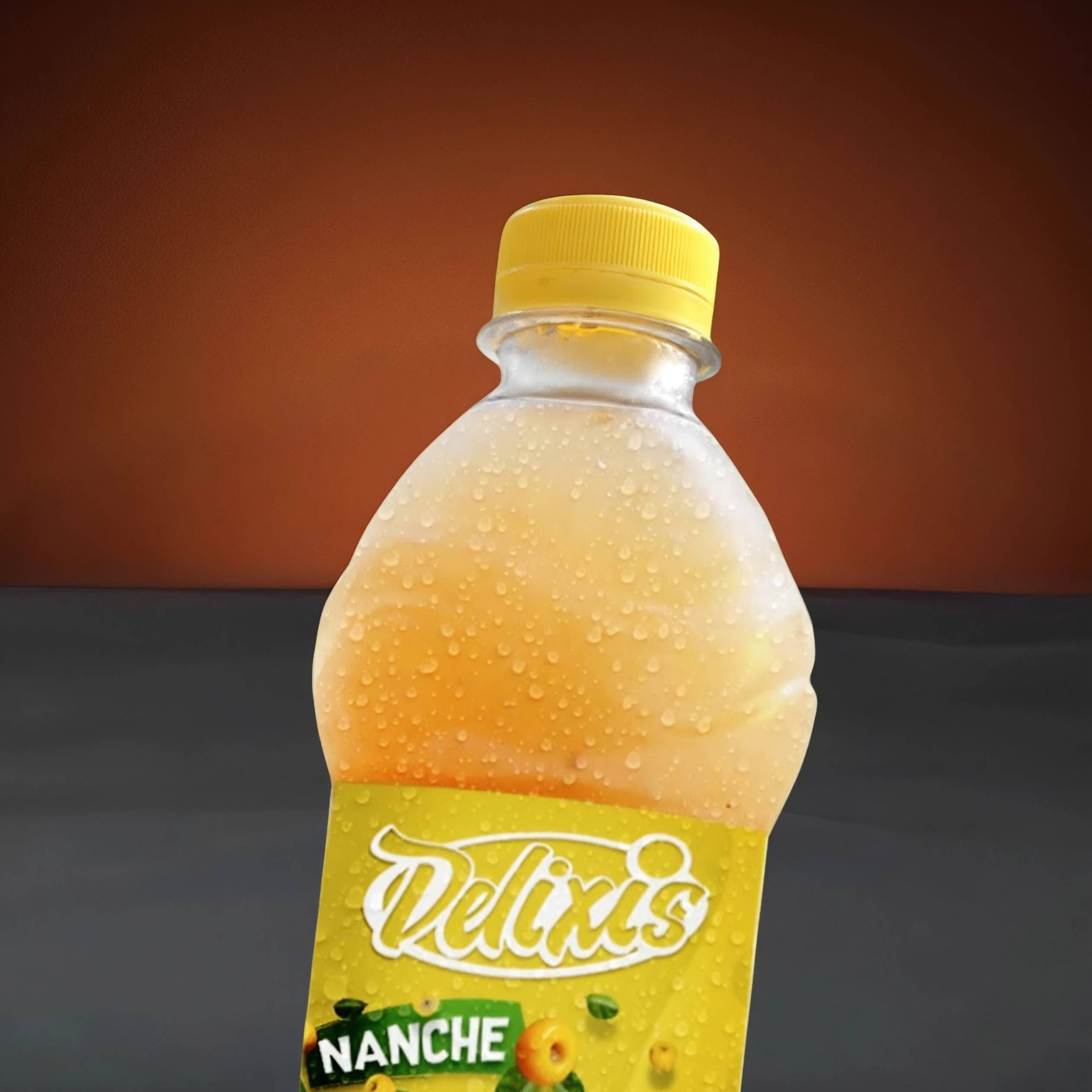 Agua Delixis Nanche 500 ml