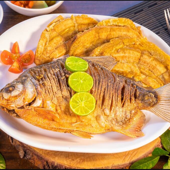 Cachama Frita