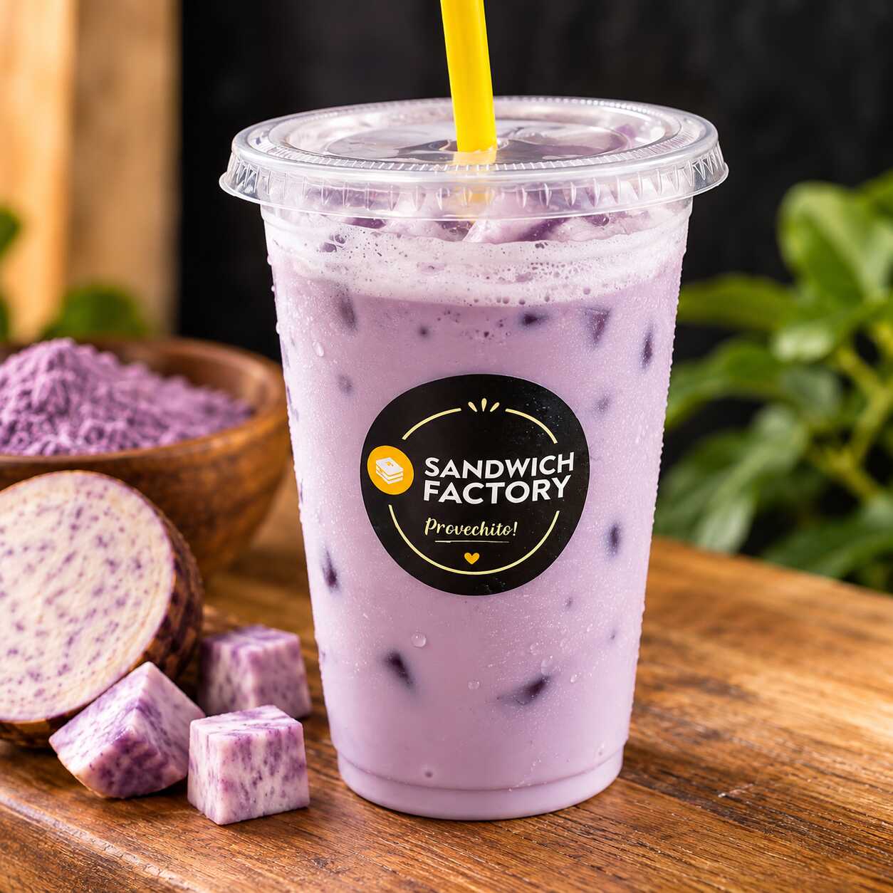 Taro en las Rocas 🧊