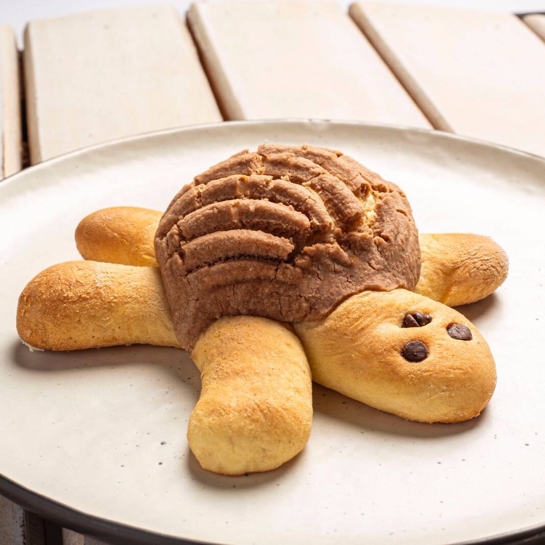 Pan Tortuga de Chocolate