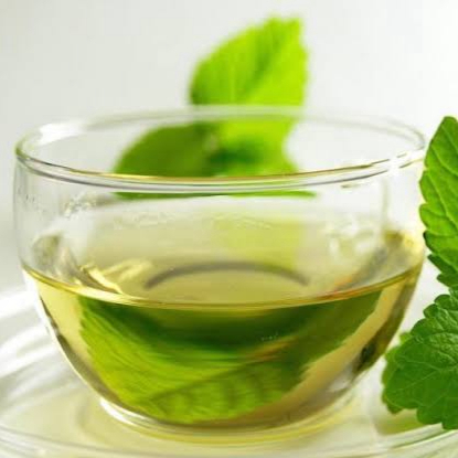 Mate de Menta