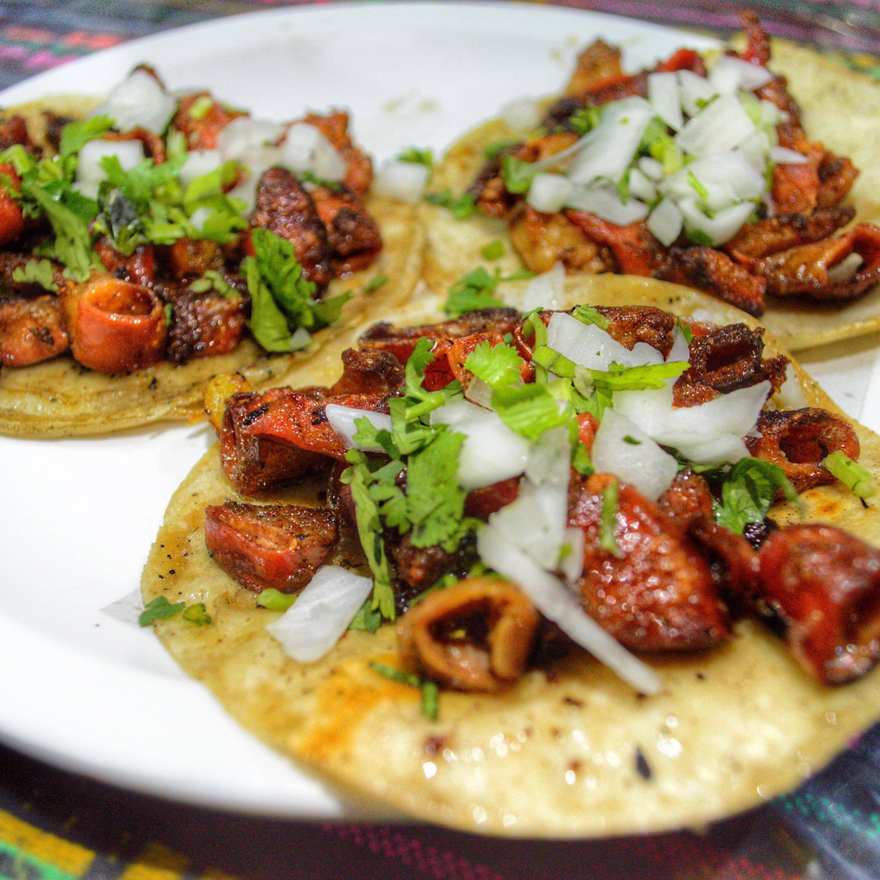 Tacos de Tripa
