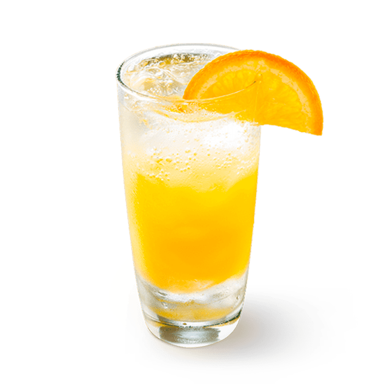 NARANJADA DE LITRO