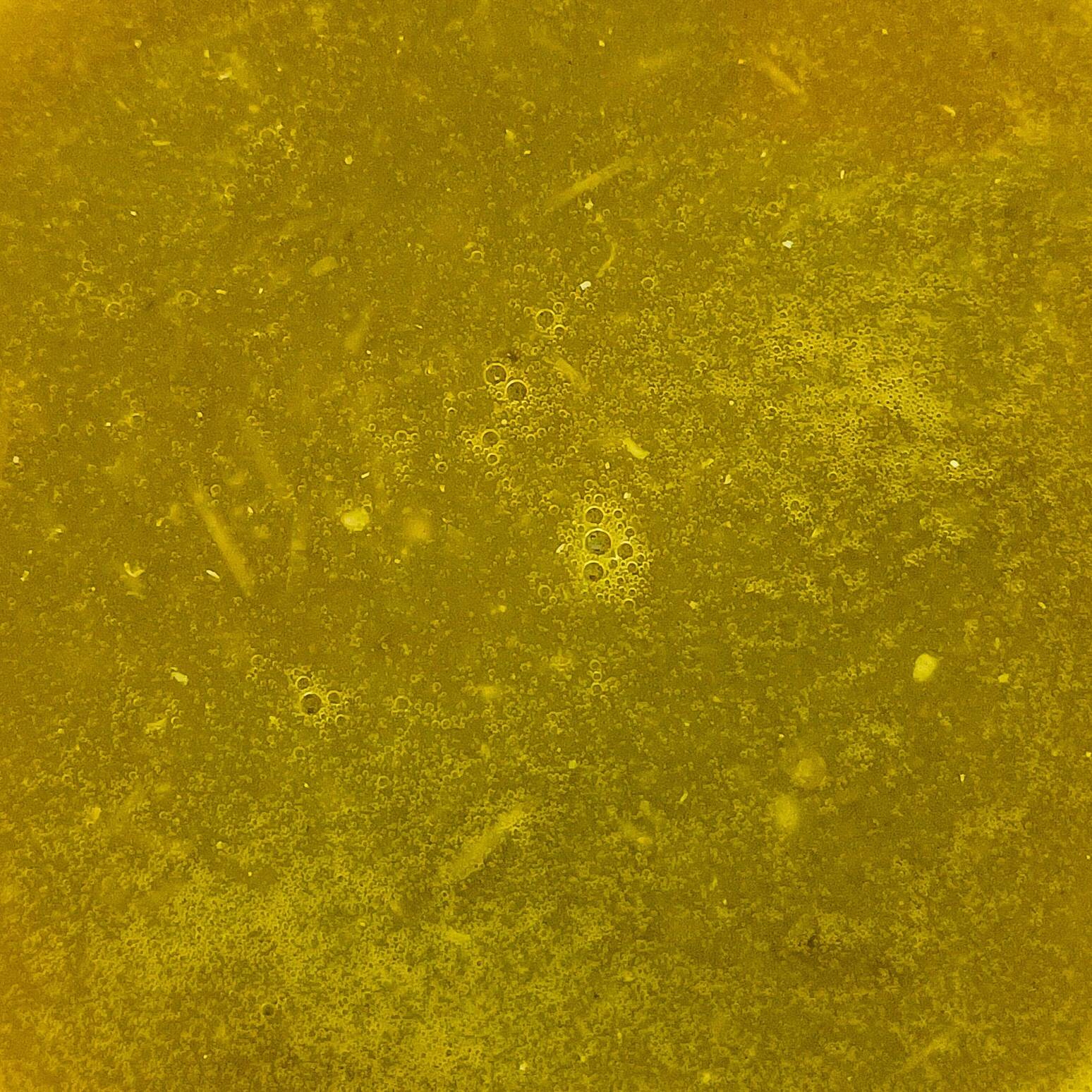 Salsa