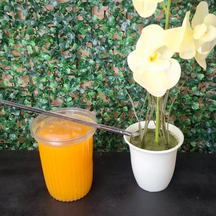 Jugo de Zanahoria 500ml