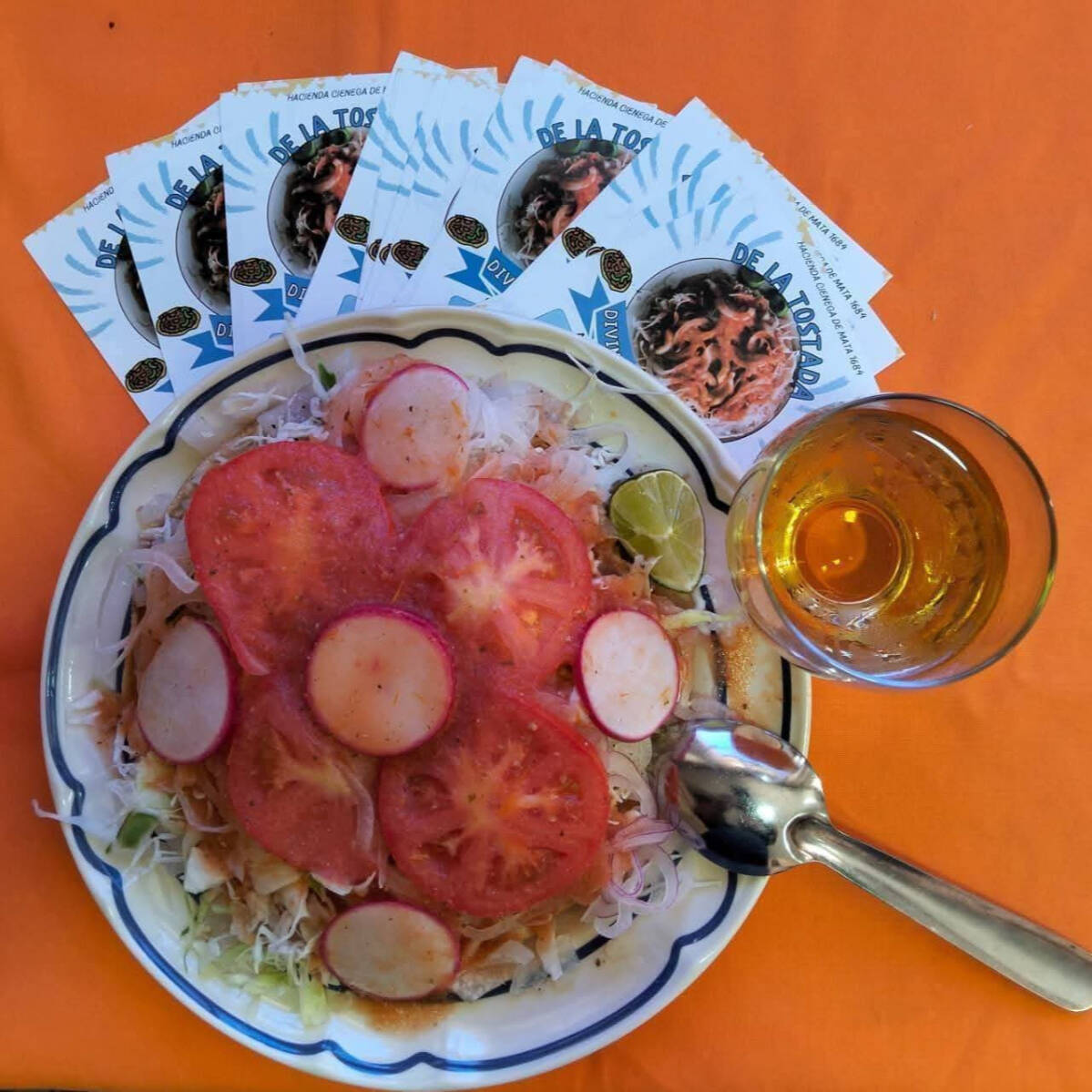TOSTADOTA DE PANELA