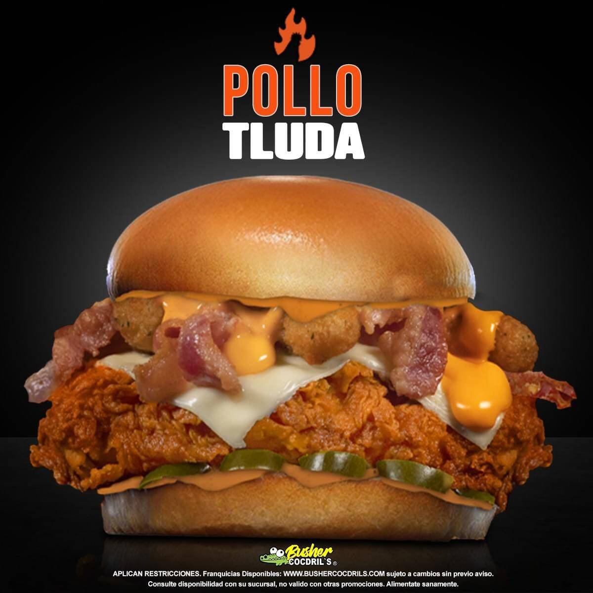 Pollotluda