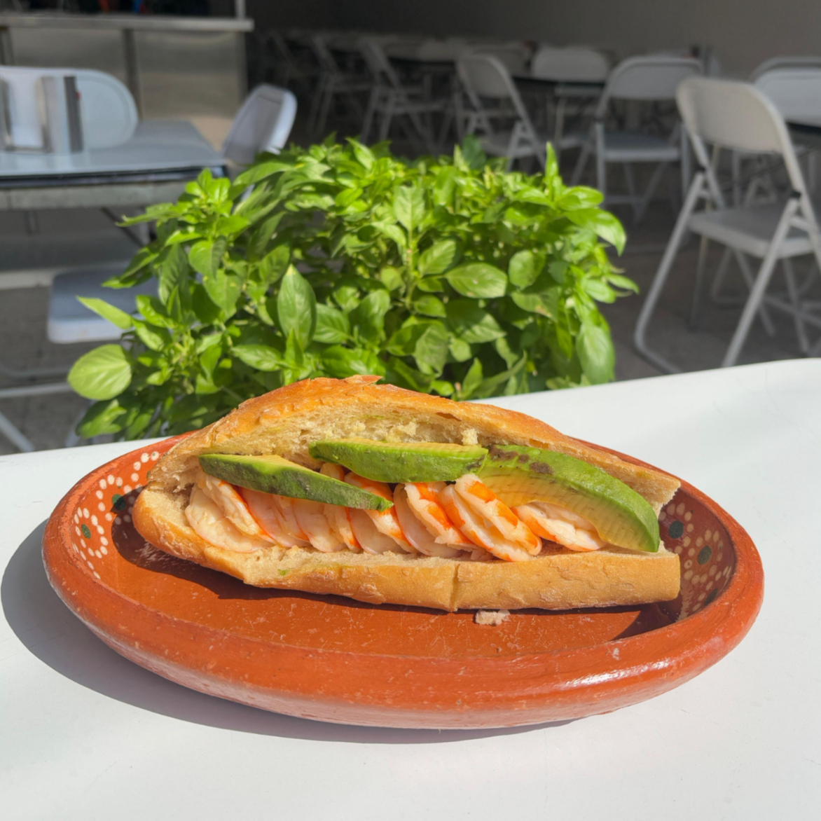 Torta de Camarón