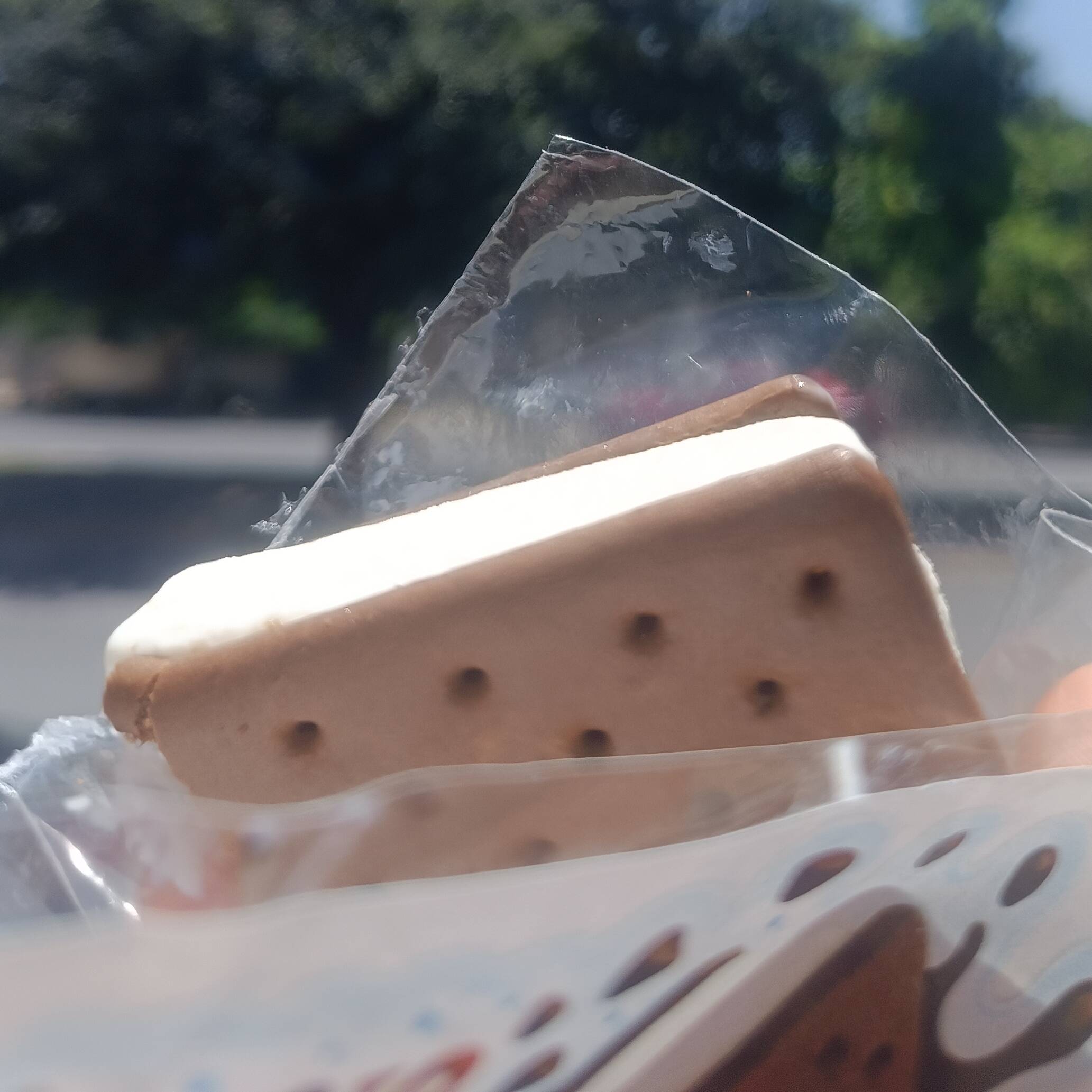 Sandwich de Nieve