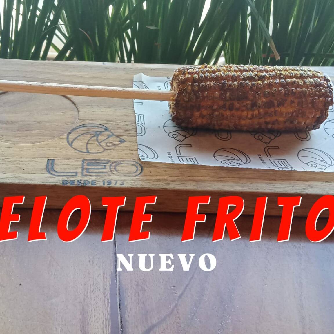ELOTES FRITO