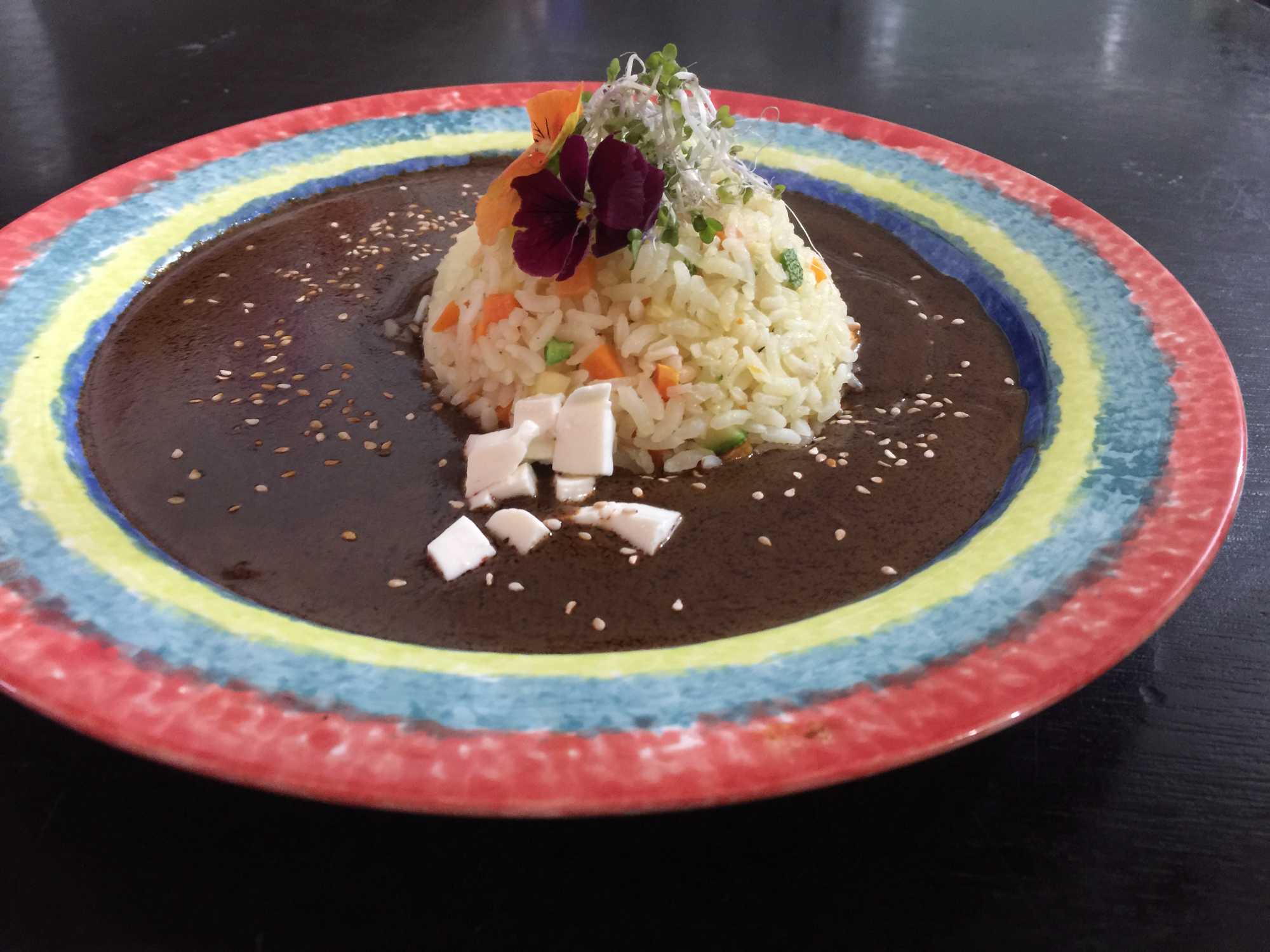 Arroz con Mole