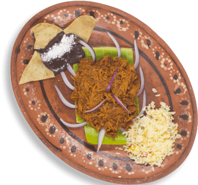 Combo Cochinita