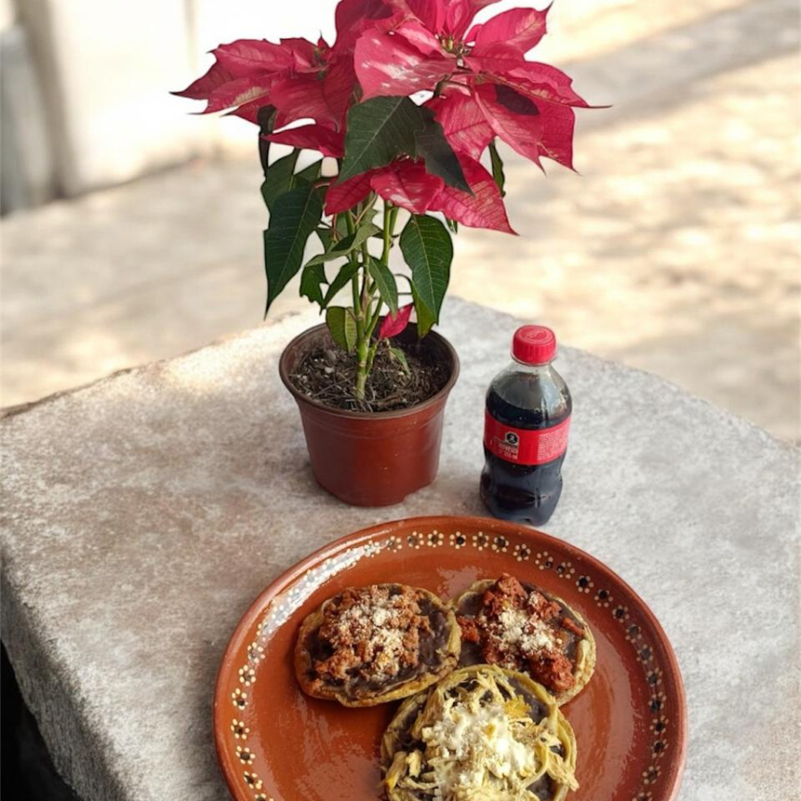 COMBO 12 Picaditas Surtidas