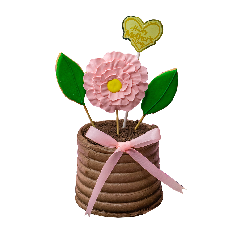 Pastel Ramo Maceta Rosa