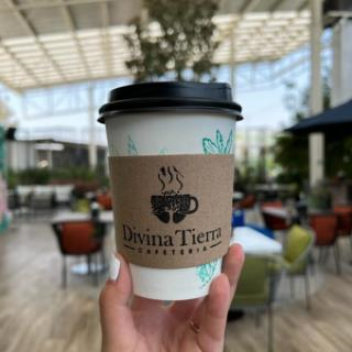 CAPUCHINO