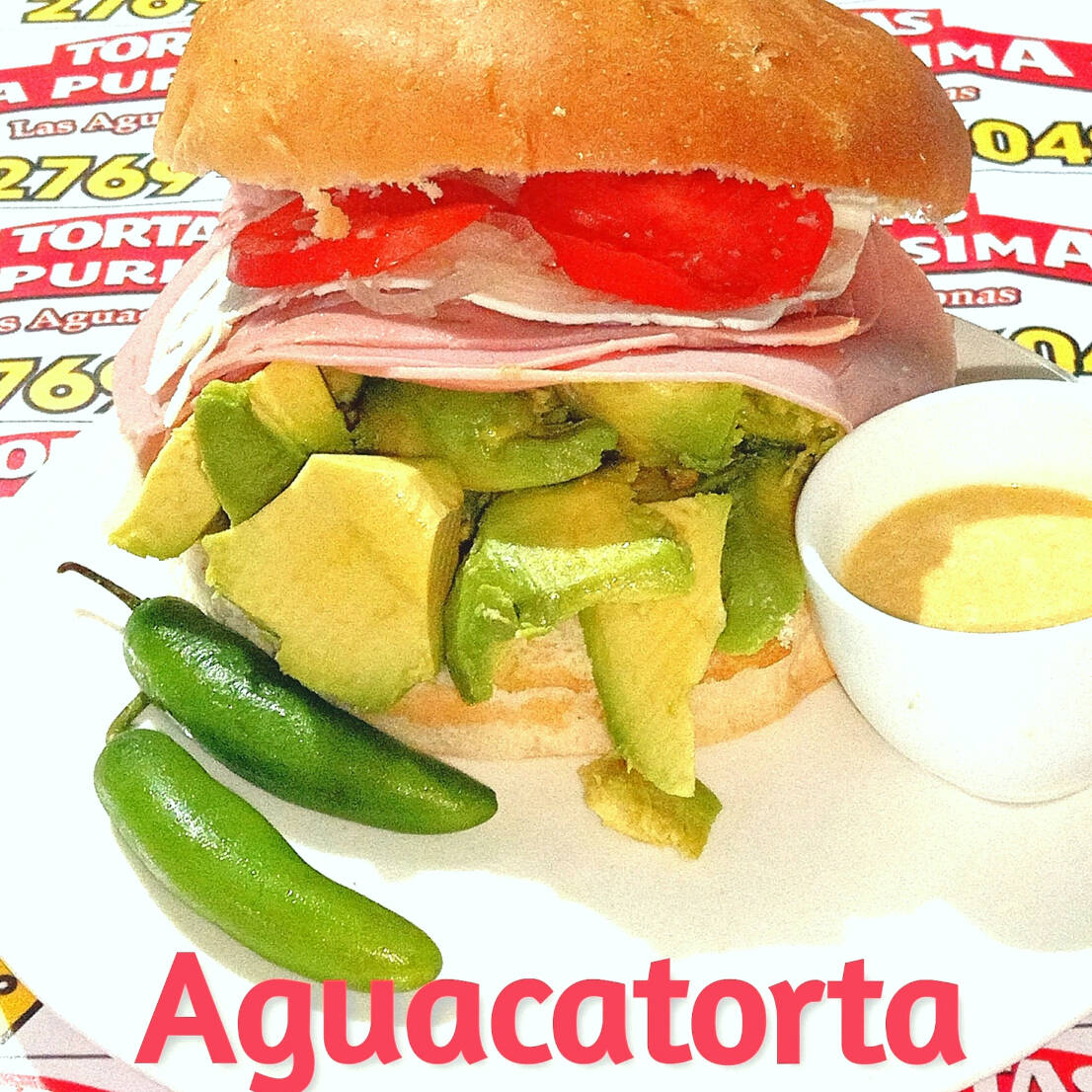 AGUACATORTA