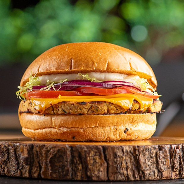 Hambúrguer vegetariano do Don, queijo, alface americana, tomate, cebola roxa e maionese.