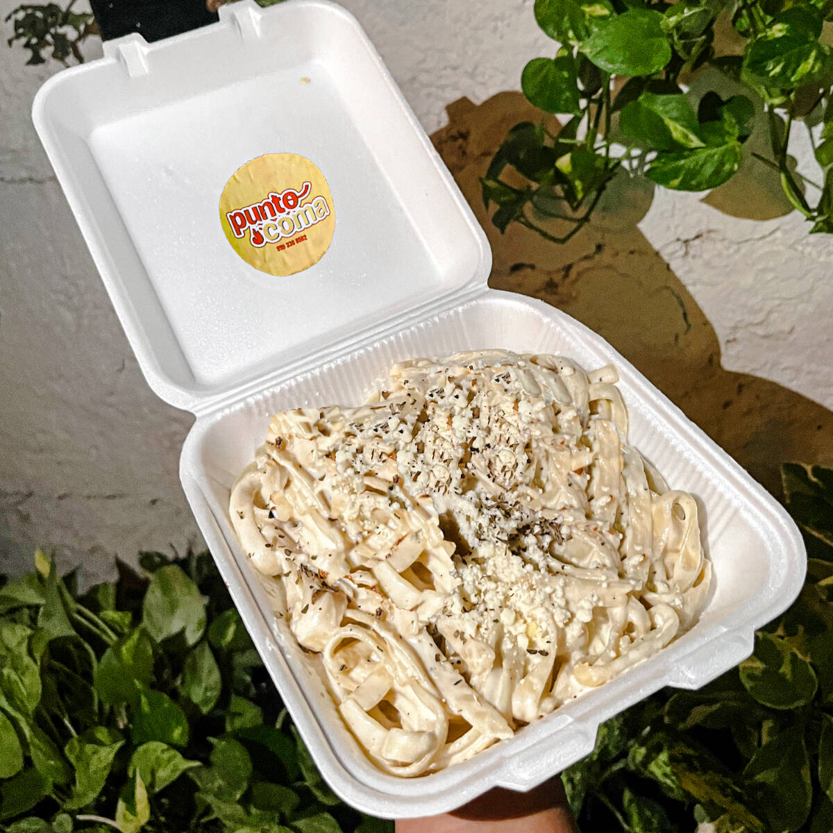 Pasta Alfredo