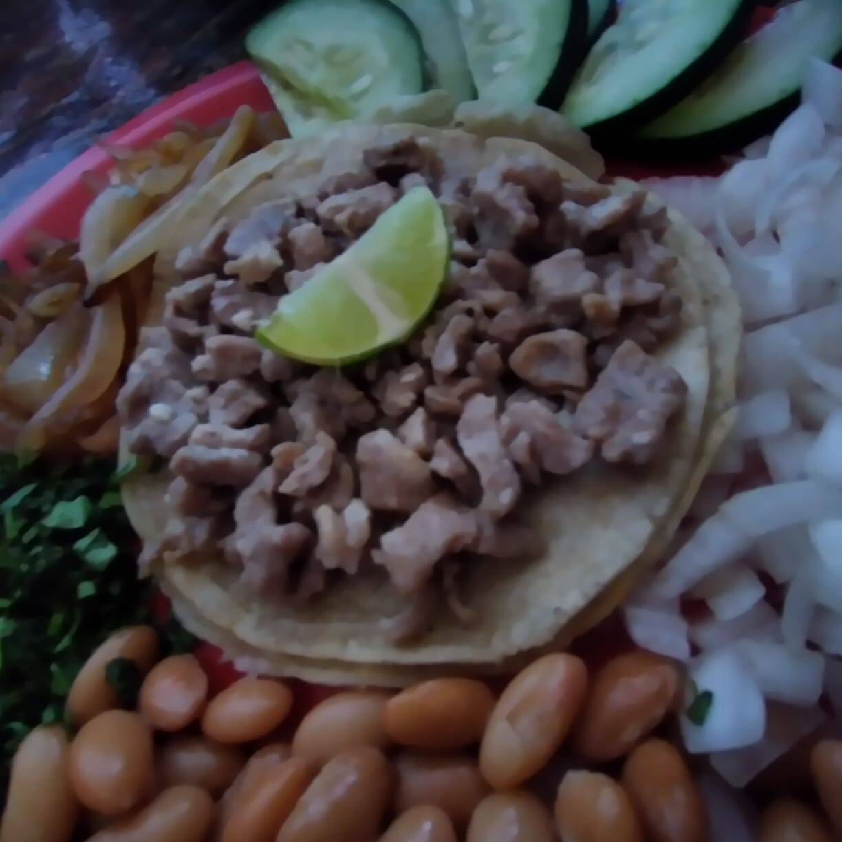 5 Tacos de bistec - 14cm