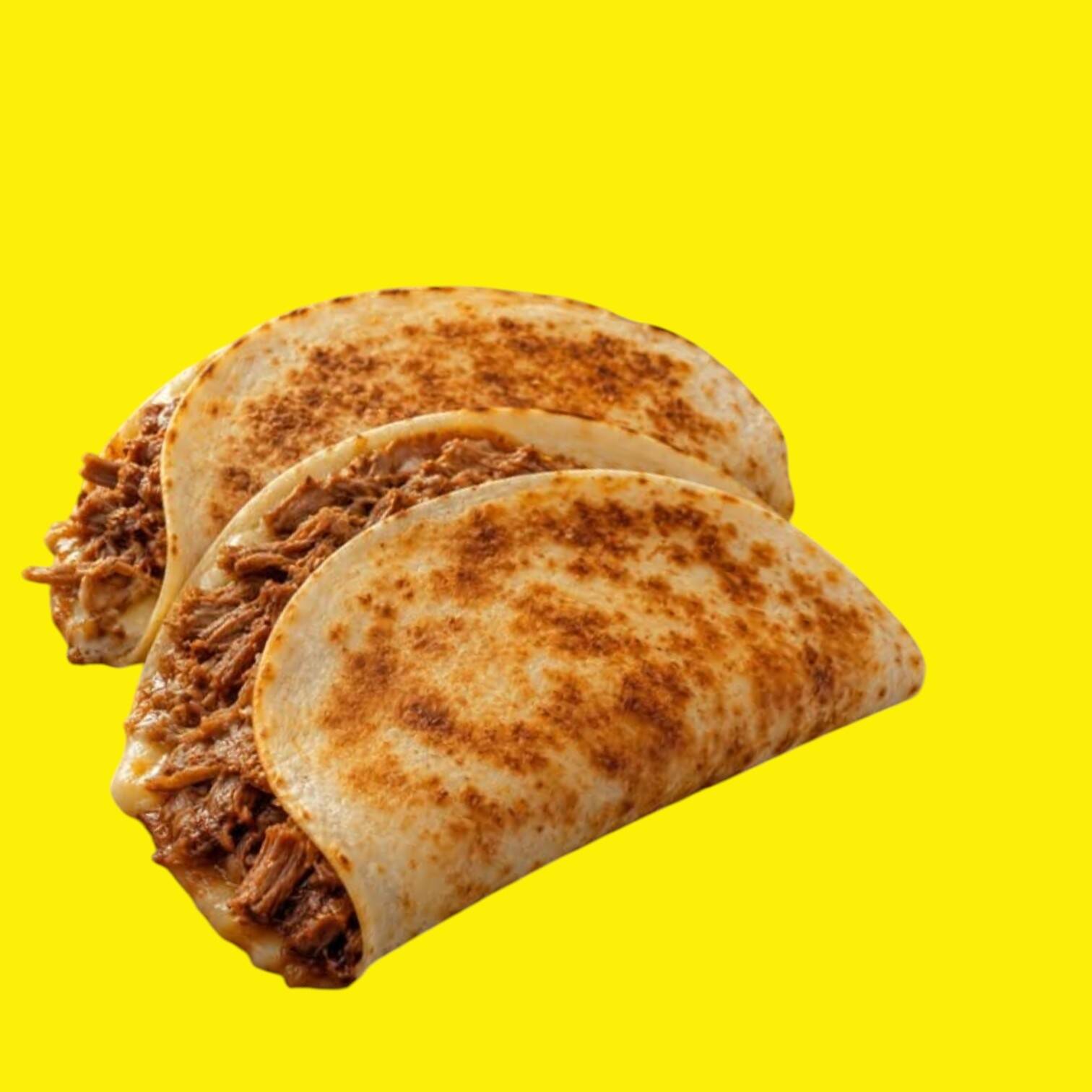Quesadilla de Carnitas Surtida