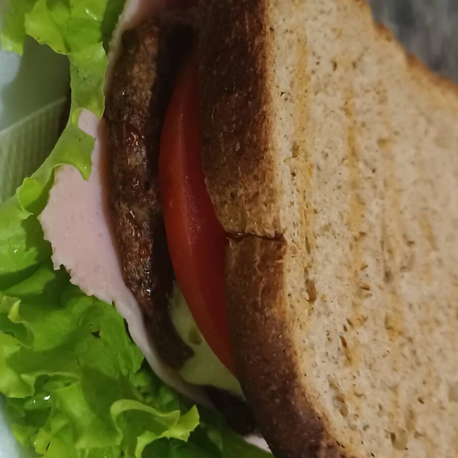 pão integral + queijo + presunto + calabresa + alface + tomate + hambúrguer