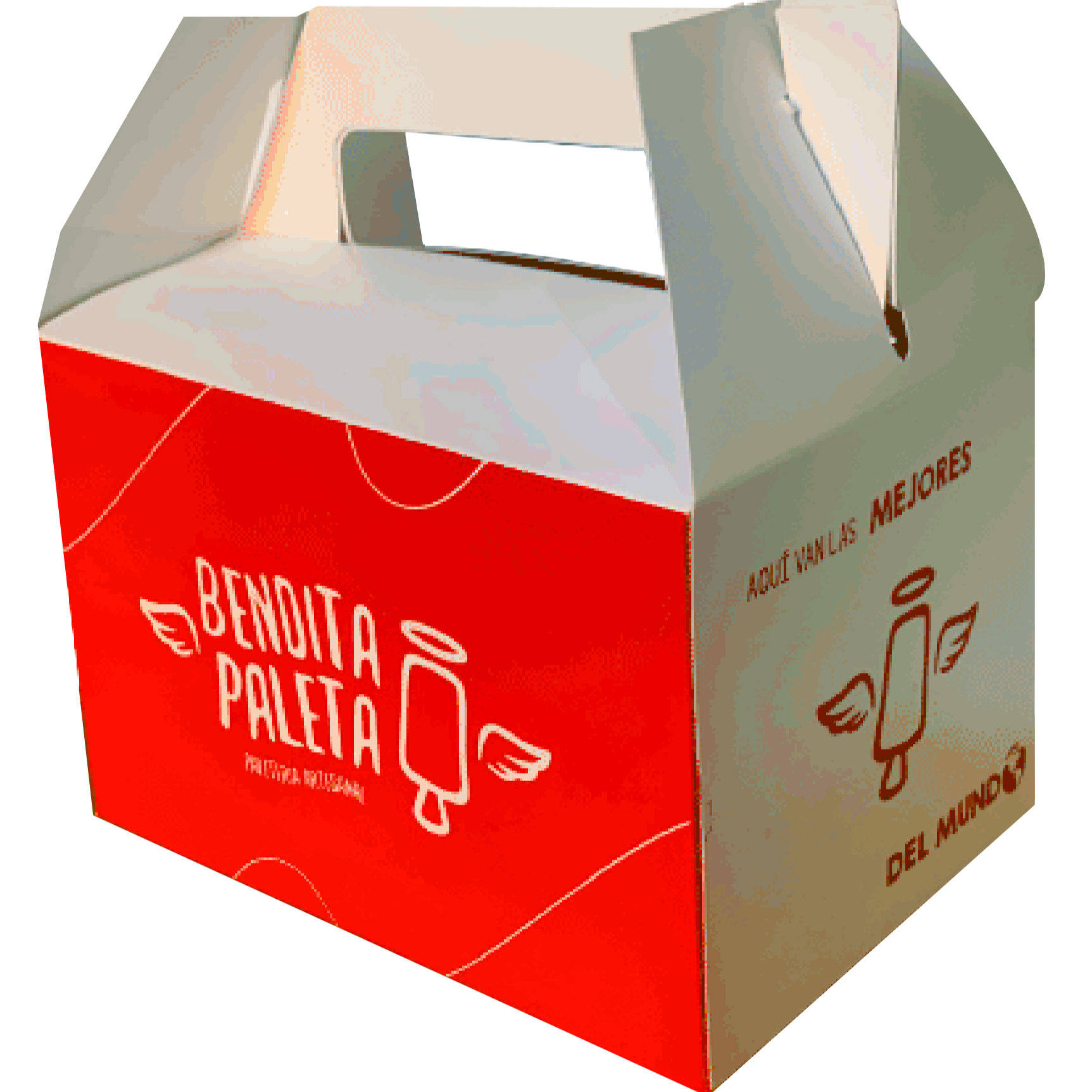 Pack 10 Paletas
