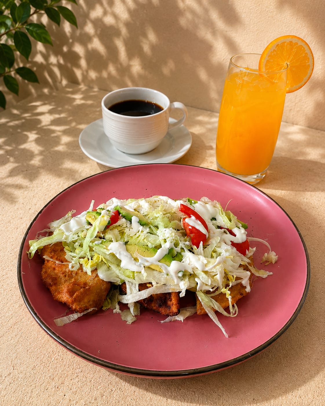 Orden de Empanadas (3)