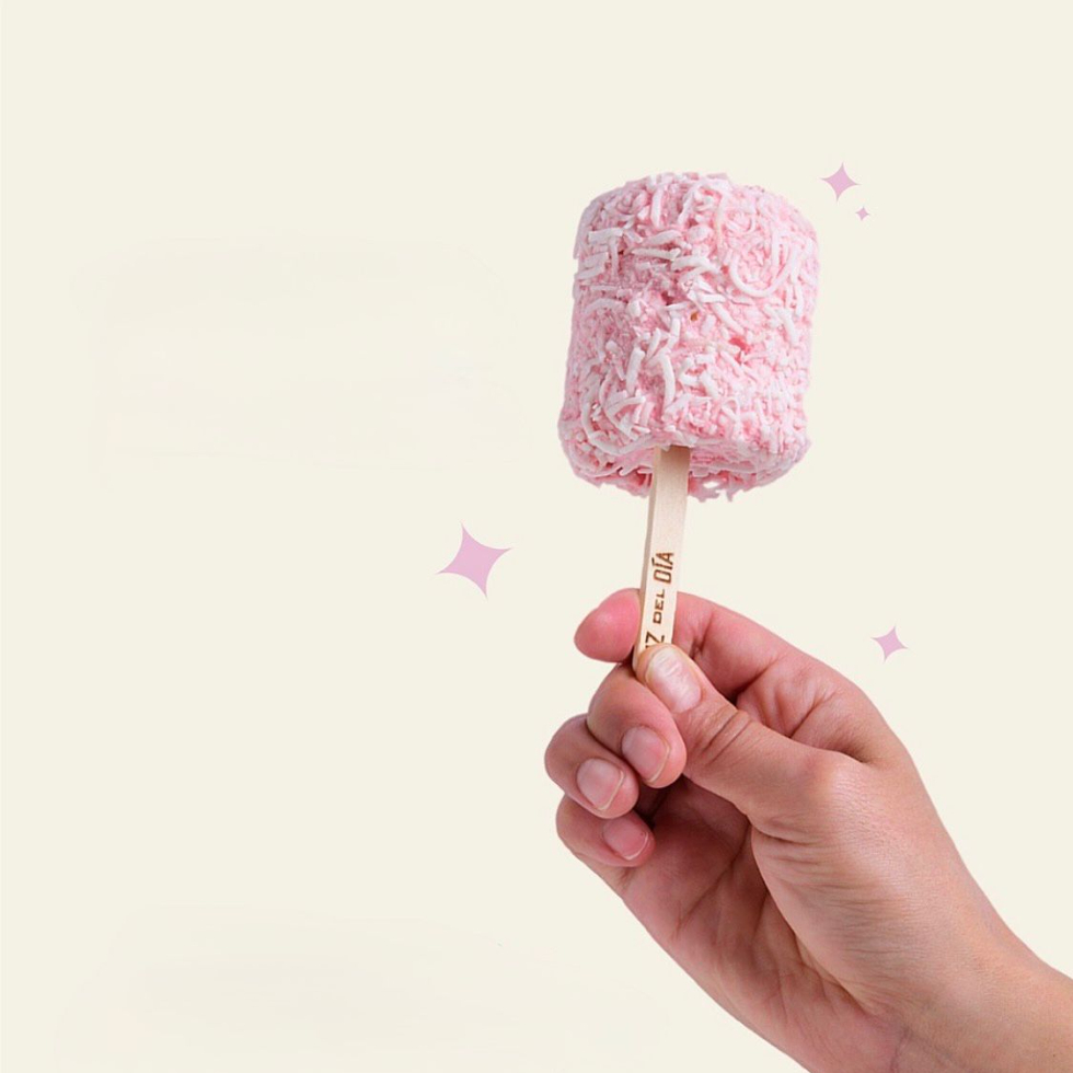 PALETA BOLA CHOCOLATE