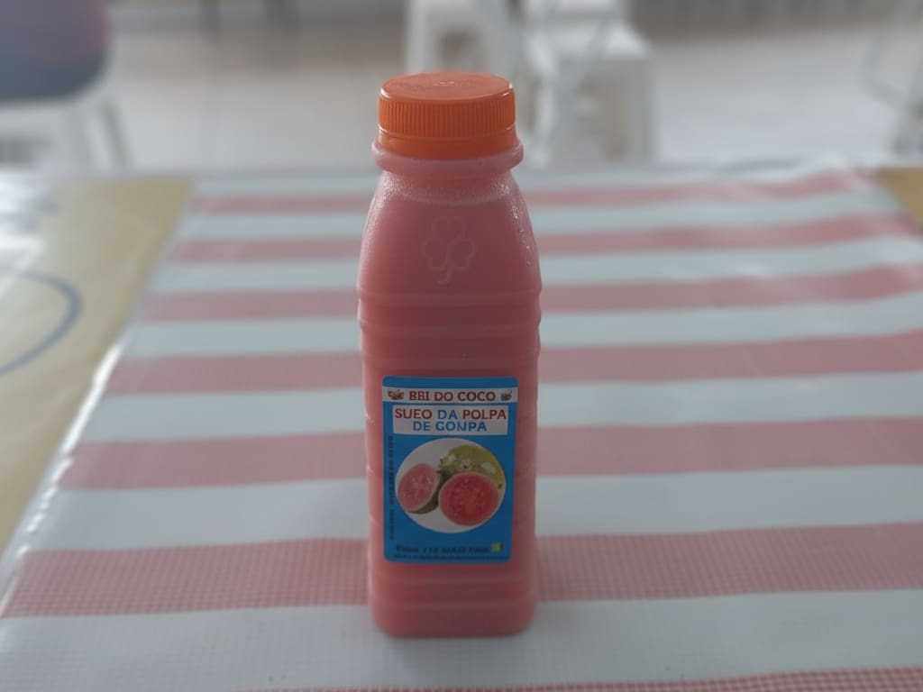 Suco de Polpa de Goiaba 300ml