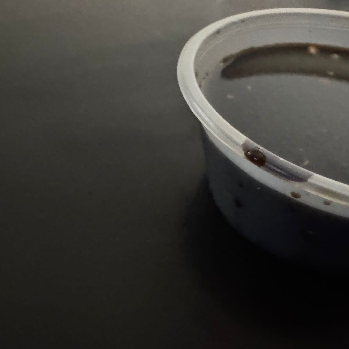 SALSA DE ANGUILA EXTRA