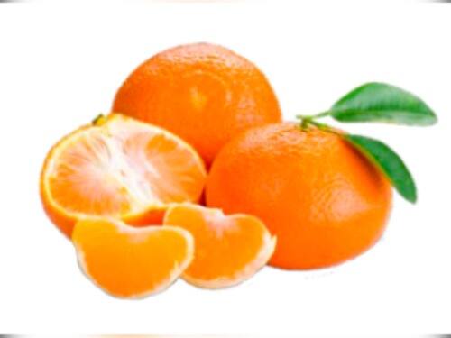 Suco Tangerina Copo (300ml)